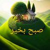 muhammadshan0225