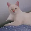 noeliaaraa