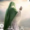 .noor0764