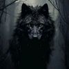 zou.l3zz