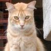 user1317920288127