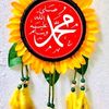 mohammadyasin.wahidi.540