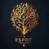 espritdexcellence