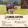 cabalgatas_pesca