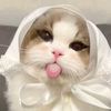 4lwys_rris