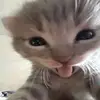 leileiisthebest0