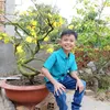l.vn.thin.thng