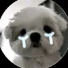 quynhvo1142