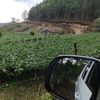 el.agro57