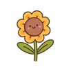 helianthus_2598