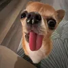 tieudietran_21