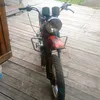 bebra5009