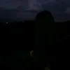 www.alinka.com1