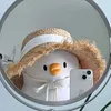 silly_jas1