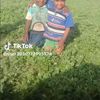 user37033557047822