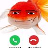 who.bobux