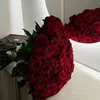 user123lpb0