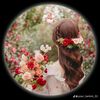 anisha.akter5161