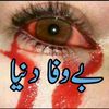 rashid.bhatti018