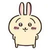 cookie_co5