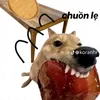 thetoandeptrai102
