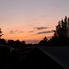 signe80427