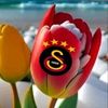 01sinan0