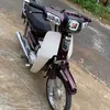 thnht1709