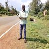 user2919321176345