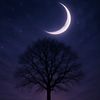 midnightsigh1