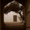 abdulah__alanzy