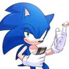 sonicelerizo8852
