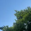 amirchik_0405