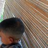 gilangradika6