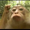 angiang2312