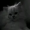 ff_a_99