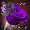 fawzia.zubair