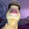 matheo_the_goat04