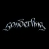 sonderling.techno