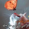 sgrsrv