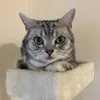 nayukami_ta
