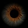 13_privatee1