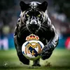 user6510138450747