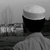 lutfullah799