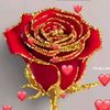 user14111565445654
