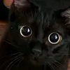 nettynascimento27
