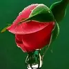 mudassar.anjum39