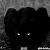 user58190170660845