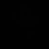 madislek