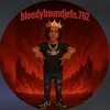 bloodyhoundjefe762